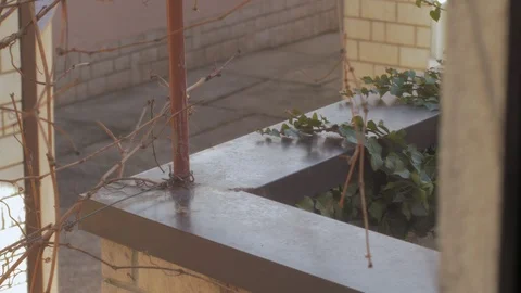 Mosquito net on the window Stock Footage 88211452