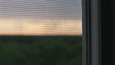 Mosquito Net on Window Frame Overlooking Blurred Sunset Nature Landscape Stock Footage 334735615