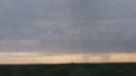 Mosquito Netting on Home Window During Golden Hour Summer Evening Stock Footage 334735622