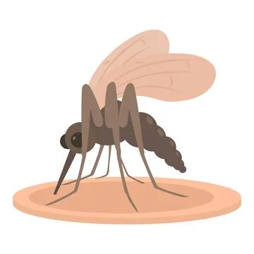 Mosquito is preparing to bite a human and drink blood Stock Illustration