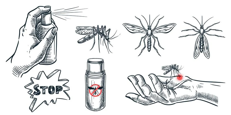 Mosquito protection design elements set. Vector sketch illustration. Using .. Stock Illustration