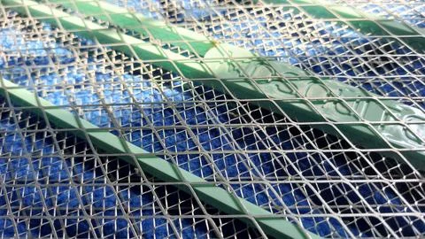 Mosquito racket Stock Photos