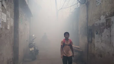 Mosquito Repellent Spraying In Dhaka Stock Footage 288624852