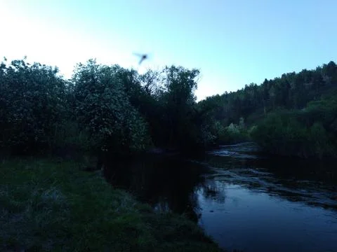Mosquito on the river Stock Photos