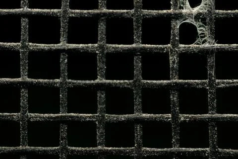 Mosquito Screen Macro Texture With Cobweb Stock Photos