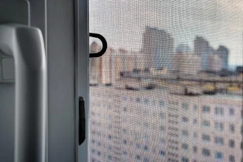 Mosquito Screen on a Window Фото