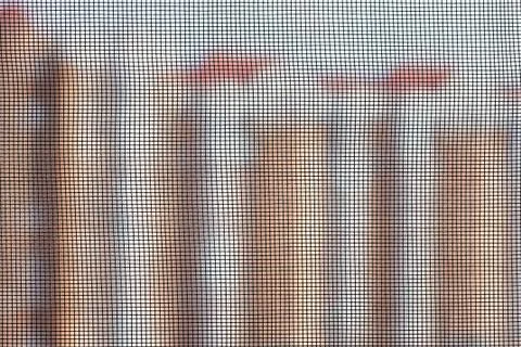 Mosquito Screen on a Window 写真素材