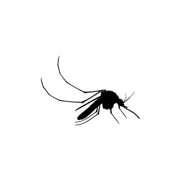 Mosquito Silhouette Stock Illustration