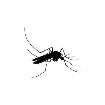 Mosquito Silhouette Stock Illustration