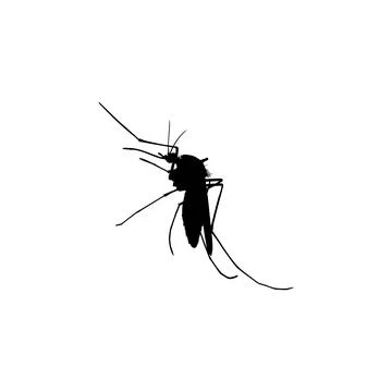 Mosquito Silhouette Stock Illustration