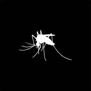 Mosquito Silhouette Stock Illustration