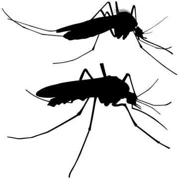 Mosquito Silhouettes Illustrazione stock