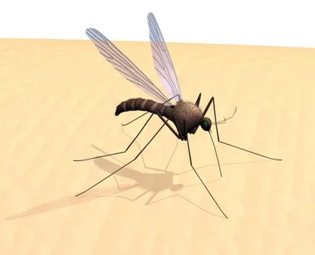 Mosquito on Skin 스톡 일러스트