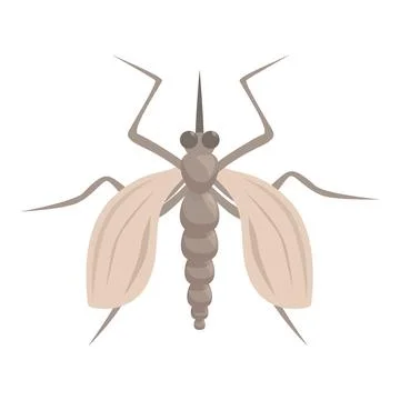 Mosquito spreading its wings preparing to bite Stock Illustration