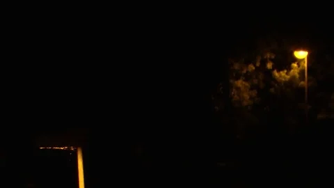 Mosquito Streetlight Stock Footage 78767870