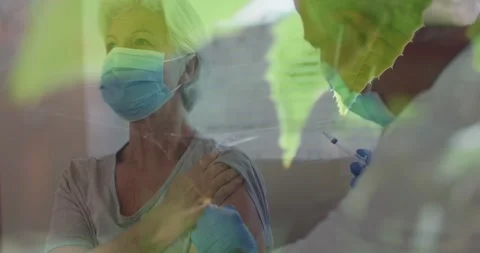 Mosquito stuck in a spider web against male doctor giving an injection to senior Stock Footage 328581870