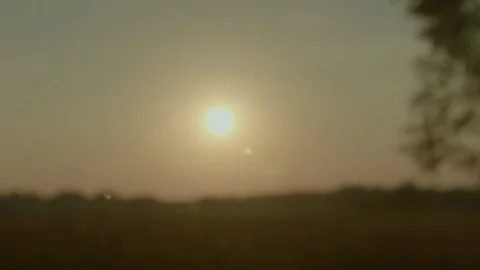 Mosquito swarm at sunset, slow motion Stock Footage 80752506