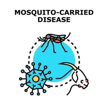 Mosquito transmitting diseases vectoring virus to animals Stock Illustration