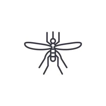 Mosquito vector line icon, sign, illustration on background, editable strokes イラスト素材