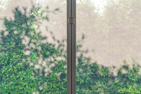 Mosquito wire screen Stock Photos