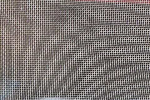 Mosquito wire screen Stock Photos