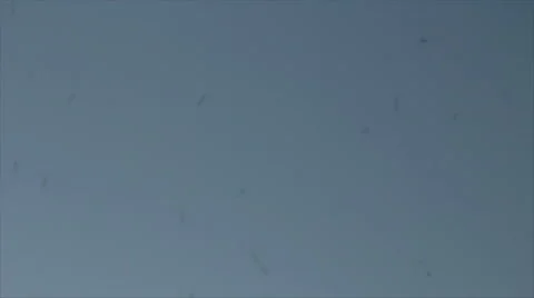 Mosquitoes at blue sky Stock Footage 58737846