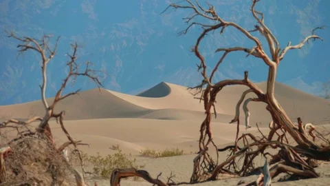 Mosquitoes Dunes, Death valley Stock Footage