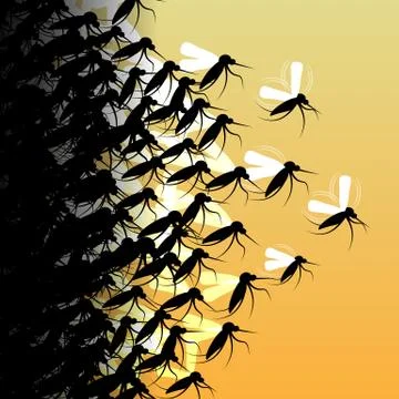 Mosquitoes in Flight - Vector Illustration Stock Illustration
