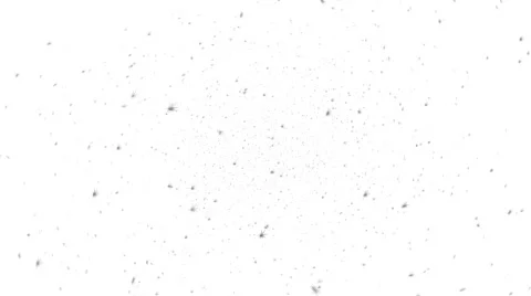 Mosquitoes On White Video stock 1030287