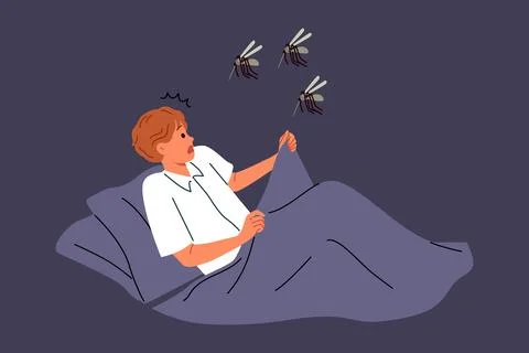 Mosquitoes will attack sleeping man lying in bed, and horrified by sight of Stock Illustration