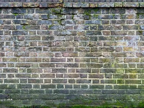 Moss-Adorned Brick Texture Background Foto stock