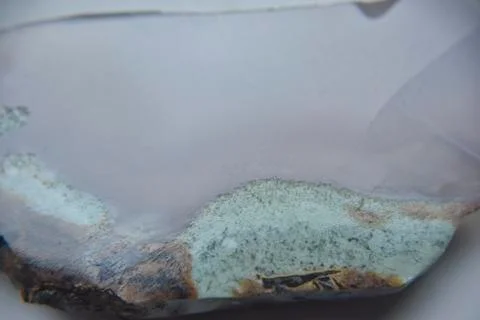 Moss agate closeup look og the structure Stock Photos