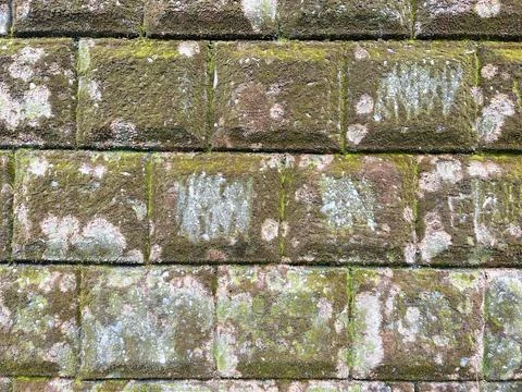 Moss on an ancient stone weathered by time Stock Photos