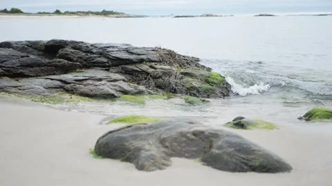 Moss and algae-covered rocks meet soft sand and gentle seawater... Stock Footage 317702818