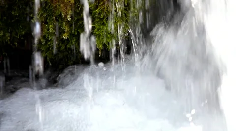 Moss and creek. Stock Footage 40414248