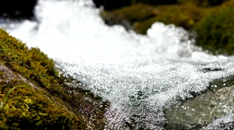 Moss and creek. Stock Footage 40414258