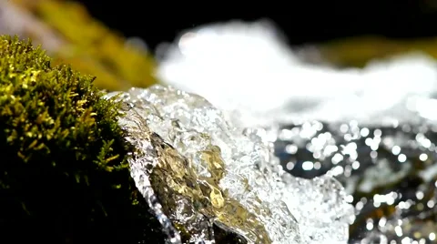 Moss and creek. Stock Footage 40414394