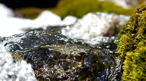 Moss and creek. Stock Footage 40414400