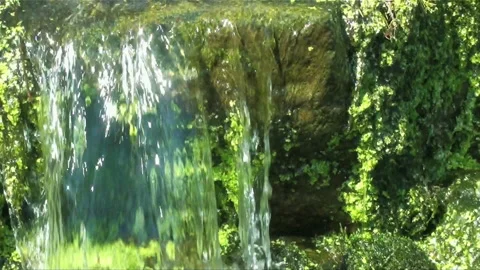 Moss and Flowing Water Stock Footage 327429488