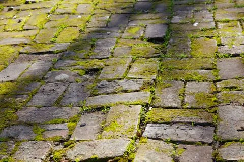 Moss and grass brick horizontal Stock Photos