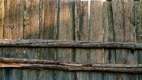 Moss and mushroom covered old wooden fence. Moldy, rotten fence on countryside Video stock 135961875