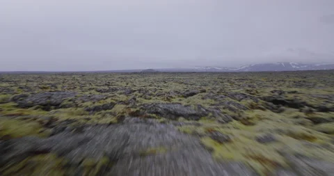 Moss and Rocks in the Highlands Stock Footage 228684987