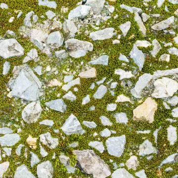 Moss and stone Stock Photos