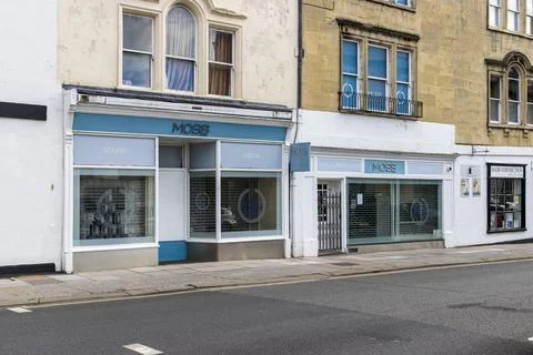 Moss Of Bath. Stock Photos