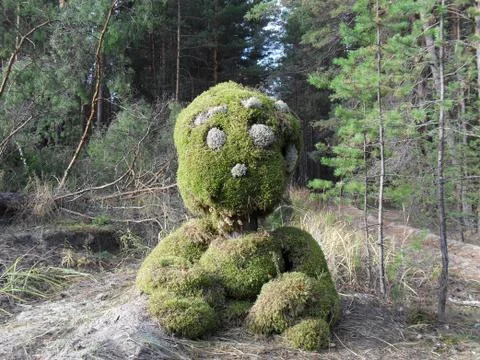 Moss bear Stock Photos