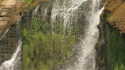 Moss Behind Waterfall 動画素材 11365045