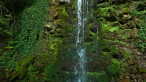 Moss blankets rock faces with lush greenery. Balkans, Serbia. Stock Footage 336893473