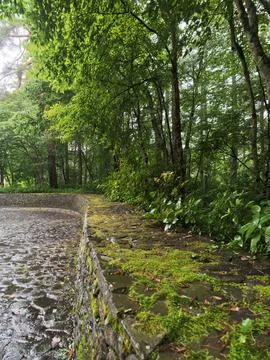 Moss blankets a weathered stone path Stock Photos
