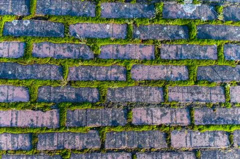 Moss brick texture Stock Photos