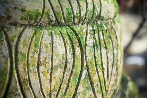 Moss on a building structure Stock Photos